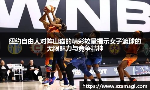 芒果体育官网入口